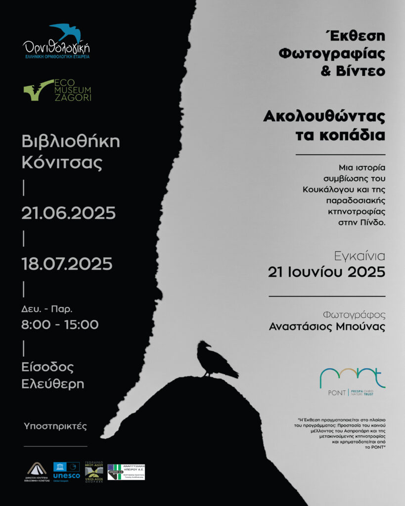 Read more about the article Εγκαίνια της Έκθεσης: «Ακολουθώντας τα κοπάδια»