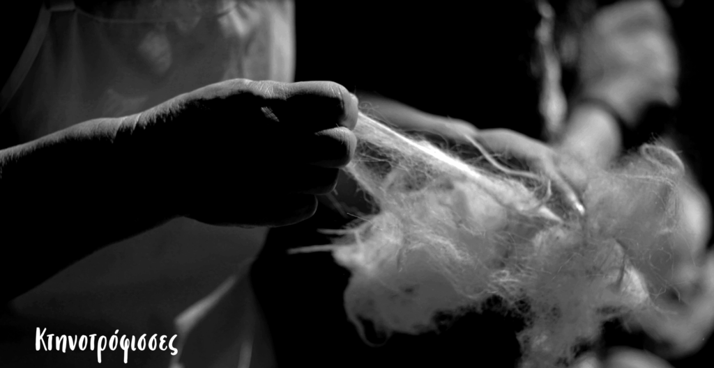 Read more about the article Κτηνοτρόφισσες |  Βίντεο-Πορτρέτα γυναικών της Μετακινούμενης Κτηνοτροφίας